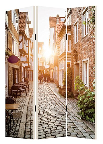 Screen Gems European Promenade Room Divider