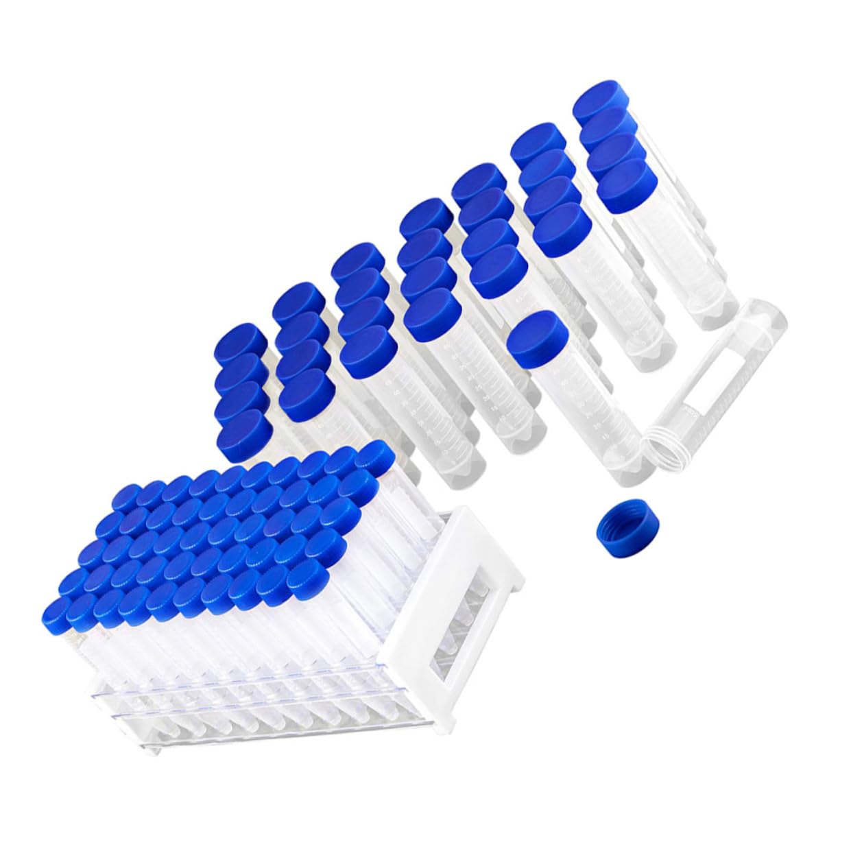 81pezzi Provette Plastica Con Coperchio e Porta Provette Per Esperimenti Scientifici e Conservazione Liquidi