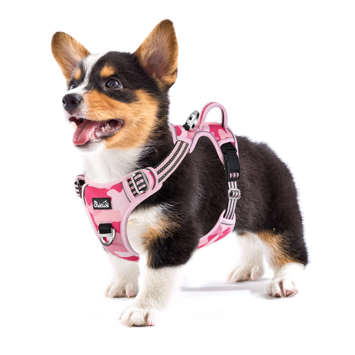 Eyein Dog Harness Small Dog, Anti Pull Adjustable Heavy Duty Pet Vest Harness with 2 Clips