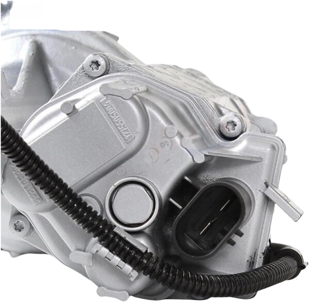 CHC6 真作保証 金子朋樹 悠久の風 金箔仕様 肉筆 日本画 印有 共シール