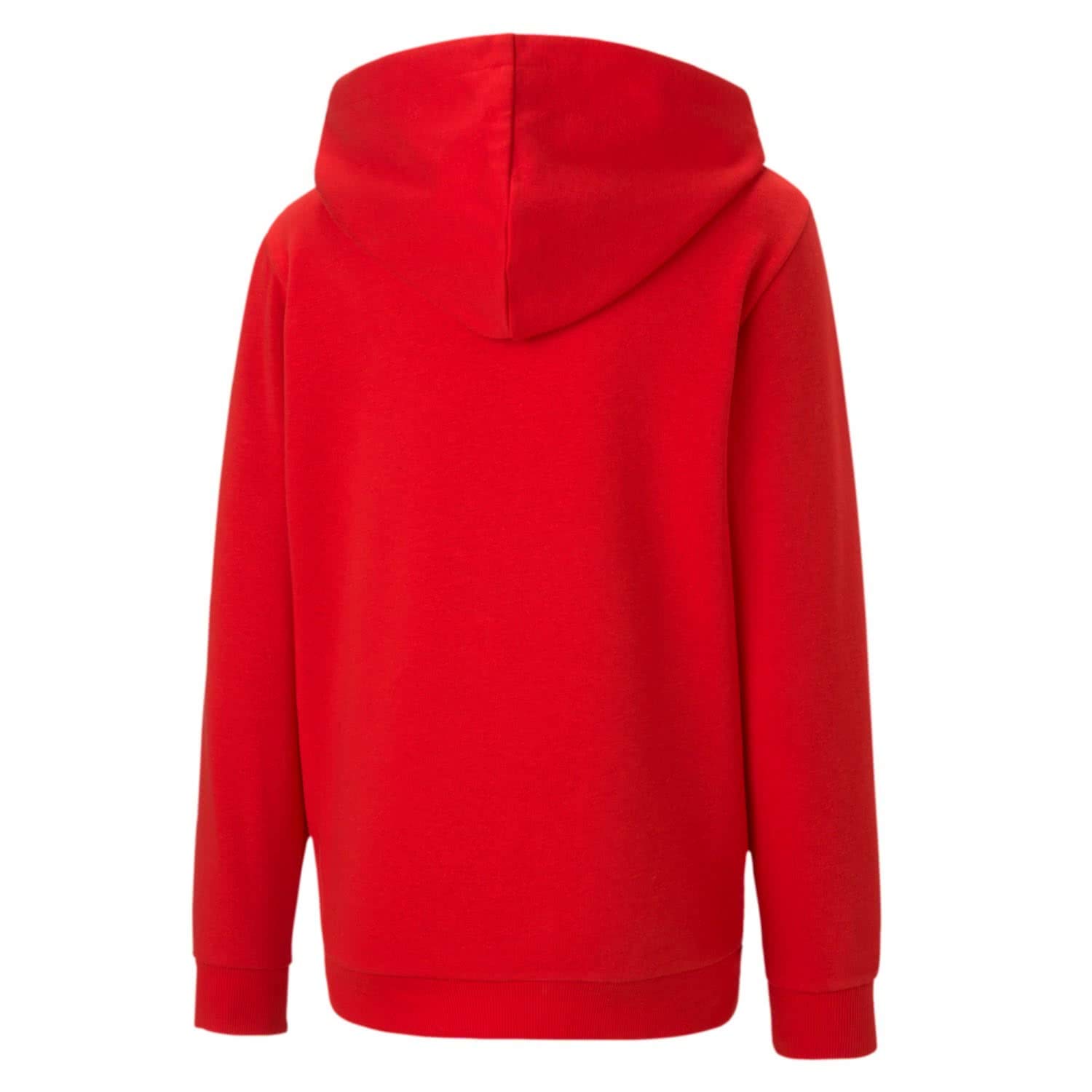 PUMA Teamgoal 23 Casuals Hooded Jacket Jr Chaqueta De Entrenamiento Niños