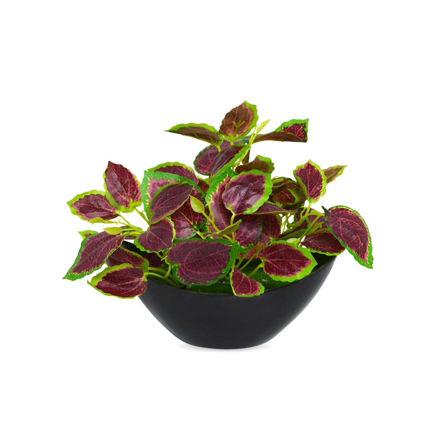 fancymart Artificial Leaves Plant in Boat Pot - 18cm Height Approx- Home & Office Decor Elegant Potted Plant for Tabletop Enhancement (B0DF2LNM9K) Amazon Price History, Amazon Price Tracker