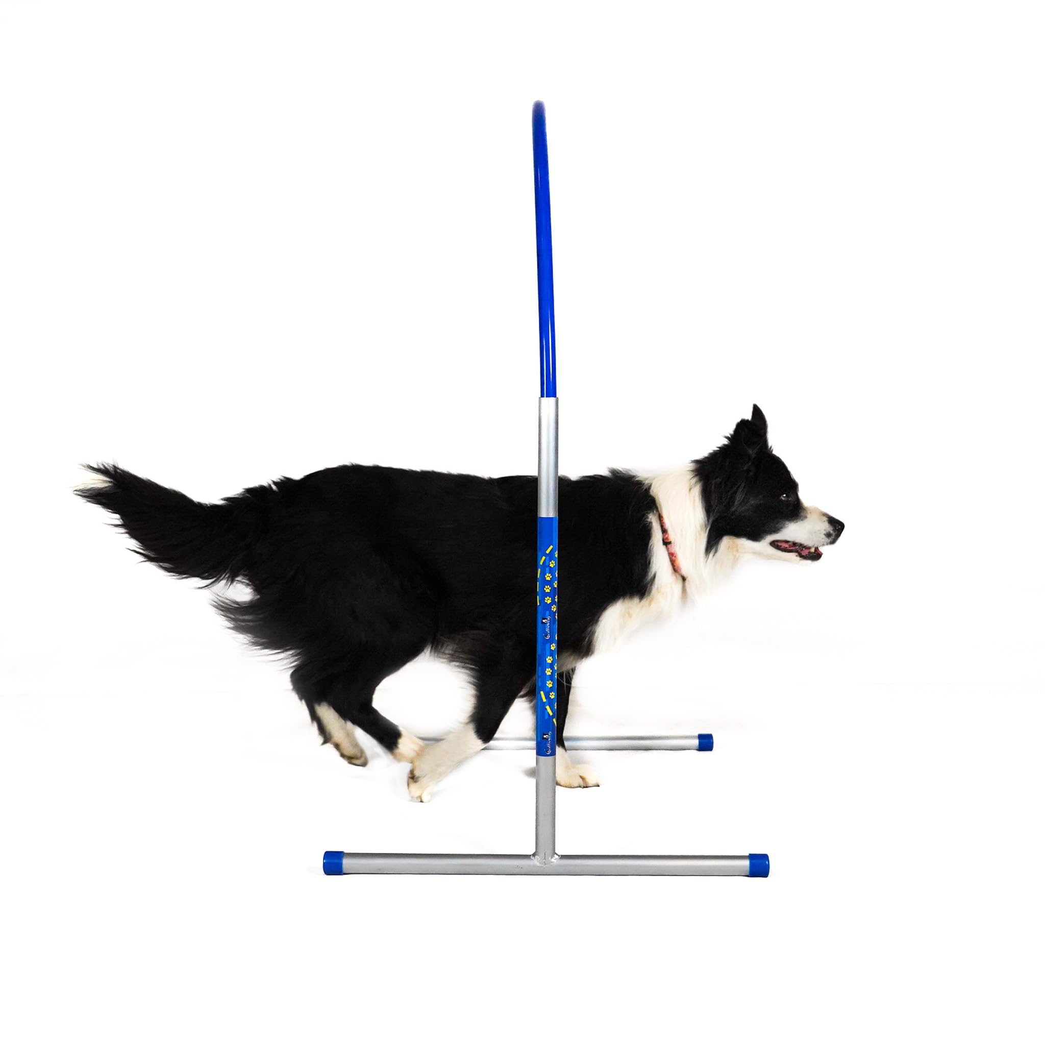 Callieway Hoopers Agility Hoops Lot de 6 cerceaux en aluminium Bleu (sans barre centrale)