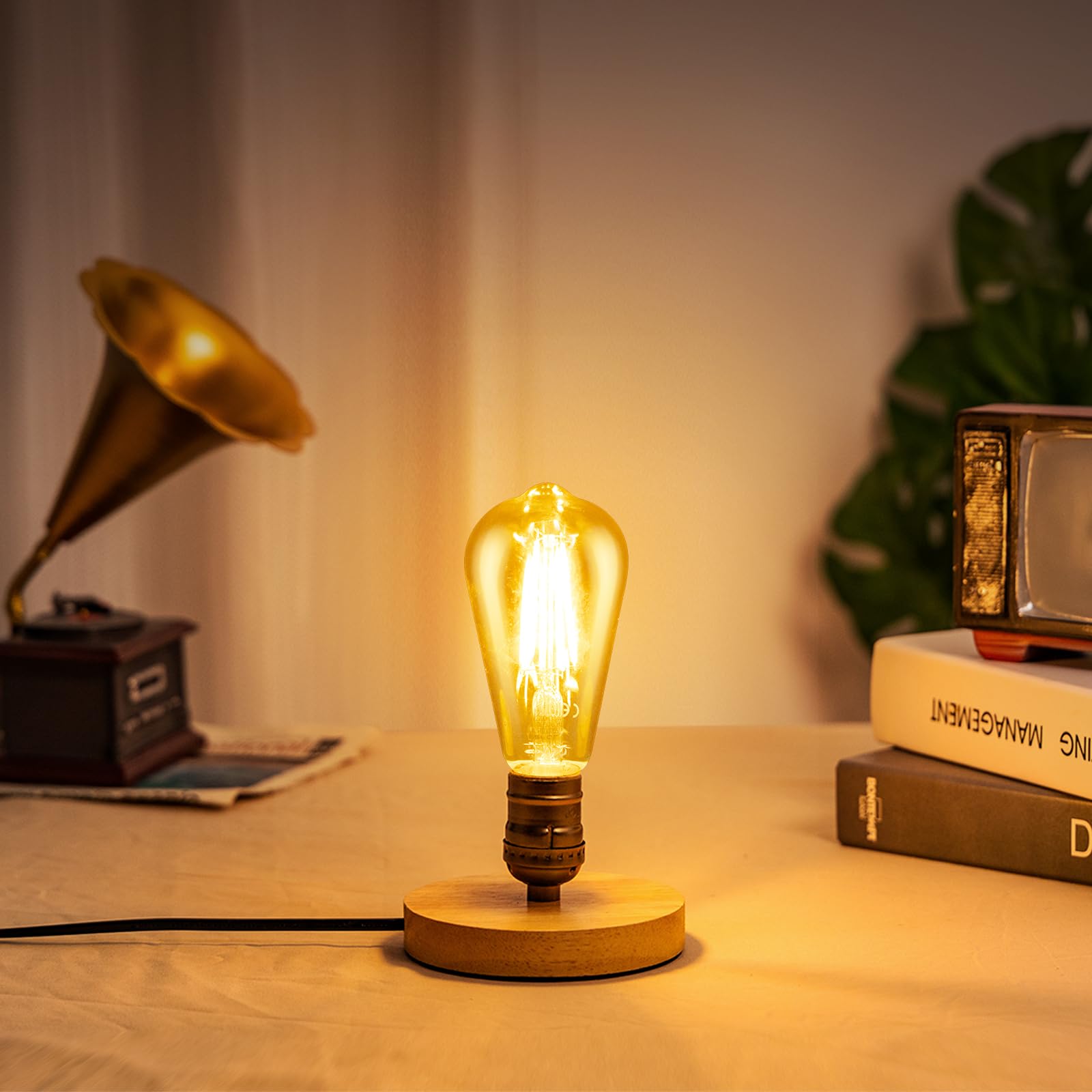 Aigostar ST64 Bombilla Edison Estilo Vintage. Bombilla Led E27 (Casquillo Gordo, 8W (Equivalente A 60W), Bombilla De Filamento Blanco Cálido (2200K). Ángulo De Haz 360º. No Regulable. Pack 4 Uds
