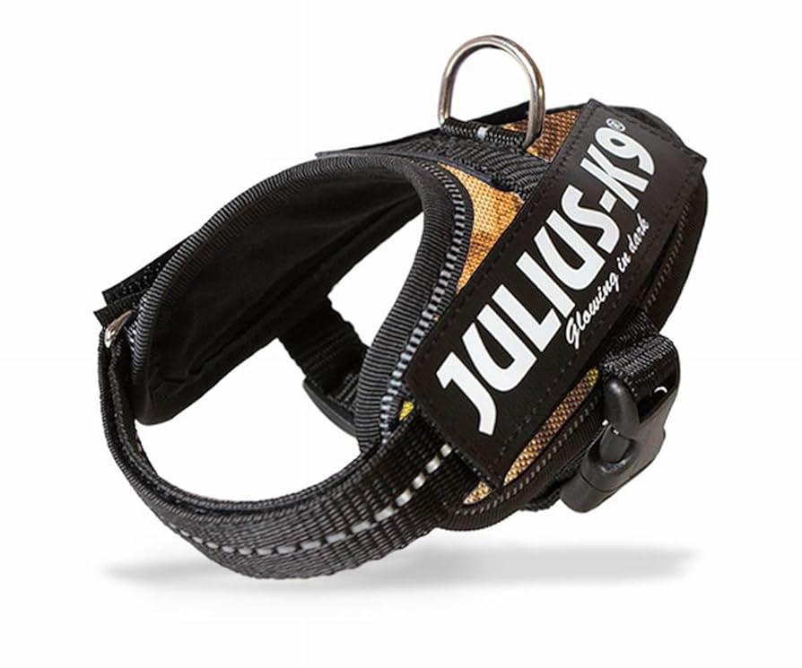 PSA9 バリヤード １枚 アンリミテッド BDEU ｅ 第２弾 Julius-K9 ユリウスケーナイン】IDCパワーサマーハーネス IDC