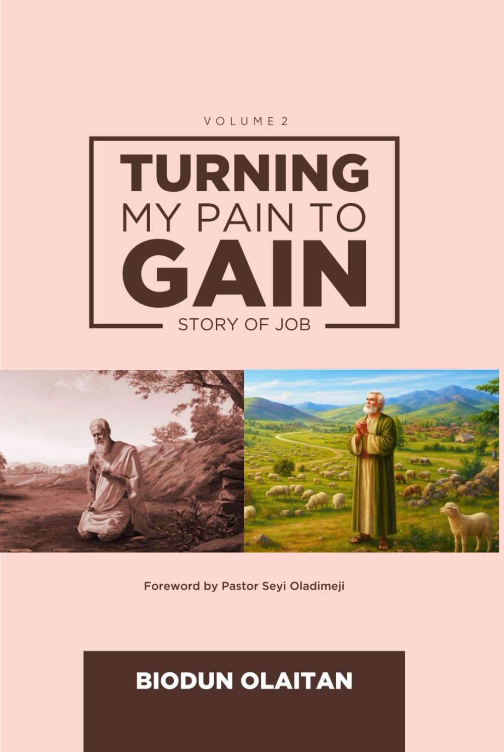 TURNING MY PAIN TO GAIN: STORY OF JOB
