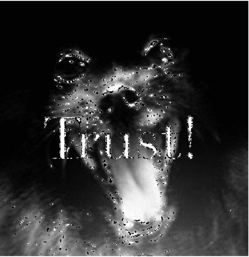 Trust pomerainan dog Journal: Trust Black Pomerainan Dog Journal