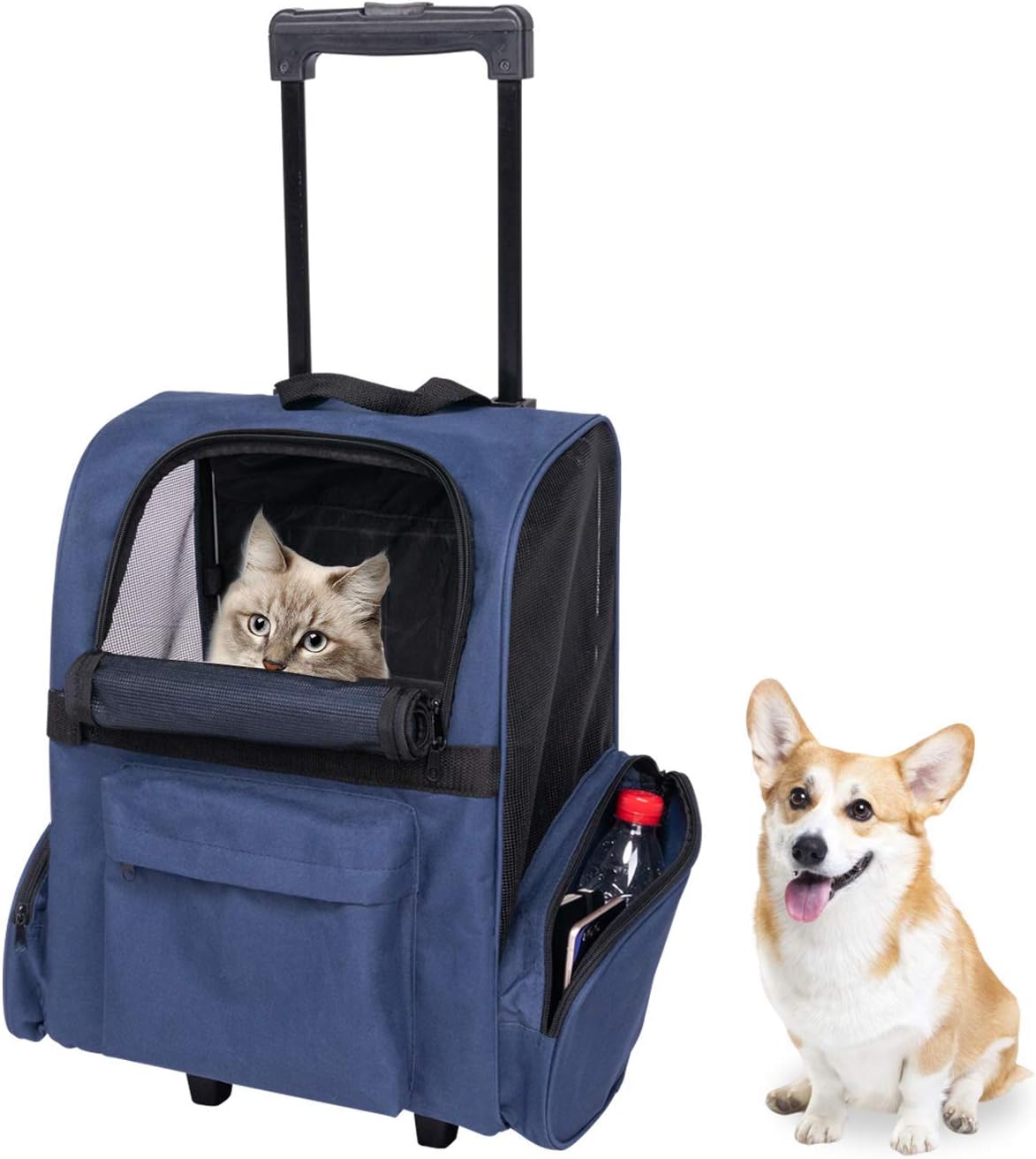 cat rolling backpack