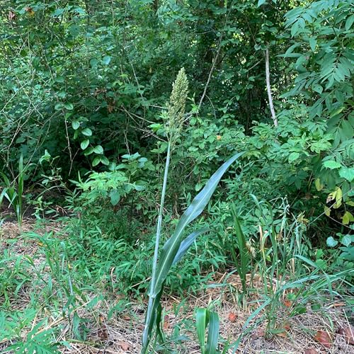 Partnering With The God Of Plenty