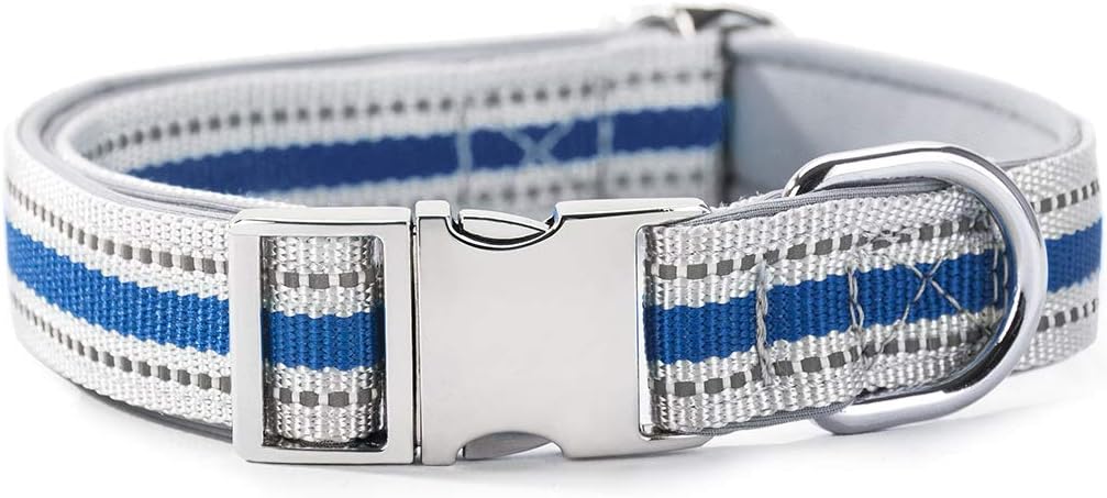 HIPIPET Highly Reflective Dog Collar with Comfortable Soft Lining and Metal Buckle for Medium and Large Dogs(M, Blue)