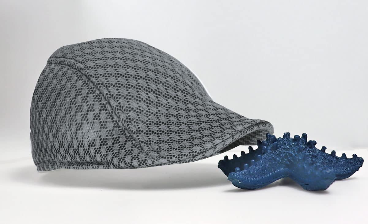 Rayson Czapka z daszkiem oddychająca letnia siateczka czapka golfowa Newsboy -hüte Mesh Flat Enkerbill czapka Casual Cap Hollow Mesh czapka Barette Cap, szary, jeden rozmiar