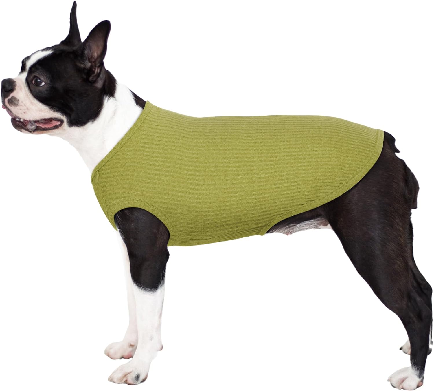 Maglioncino Natale Cane ForFanPets: La Marca Que Sube Posiciones