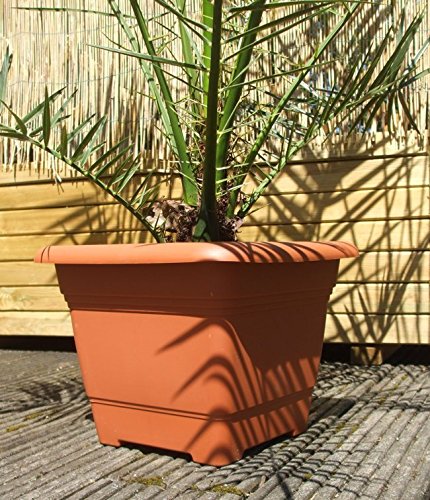 Deko-Impresion Pflanzkübel Nora, Pflanztopf, Blumentopf, 28x28 cm, terracottafarben