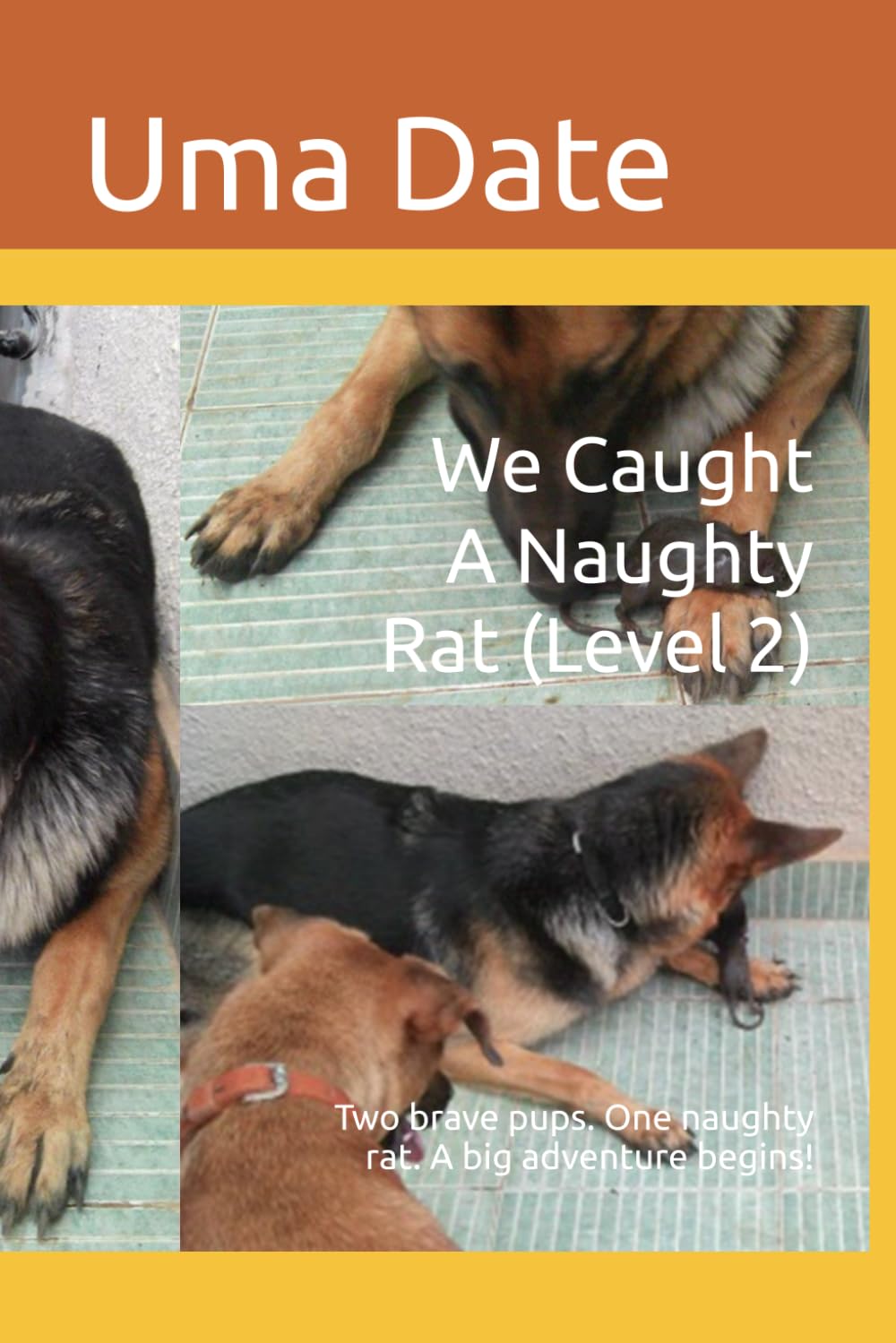We Caught A Naughty Rat (Level 2): Two brave pups. One naughty rat. A big adventure begins! ('Adventures of Rani and Zoe')