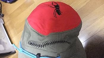 帽子 kkk Amazon.co.jp: パンクドランカーズ punkdrunkers 百足 虫 ハット