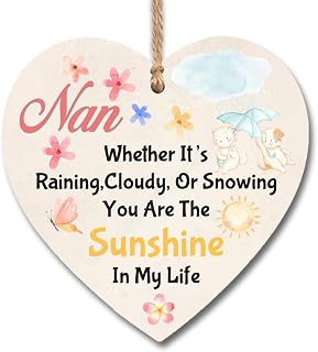 Heart Plaque Sign Nan You Are The Sunshine In My Life Plaque Present Gift Wooden Heart Hanging Plaques Signs Birthday Christmas Gift For Her Handmade H0604 (13cm x 13cm)