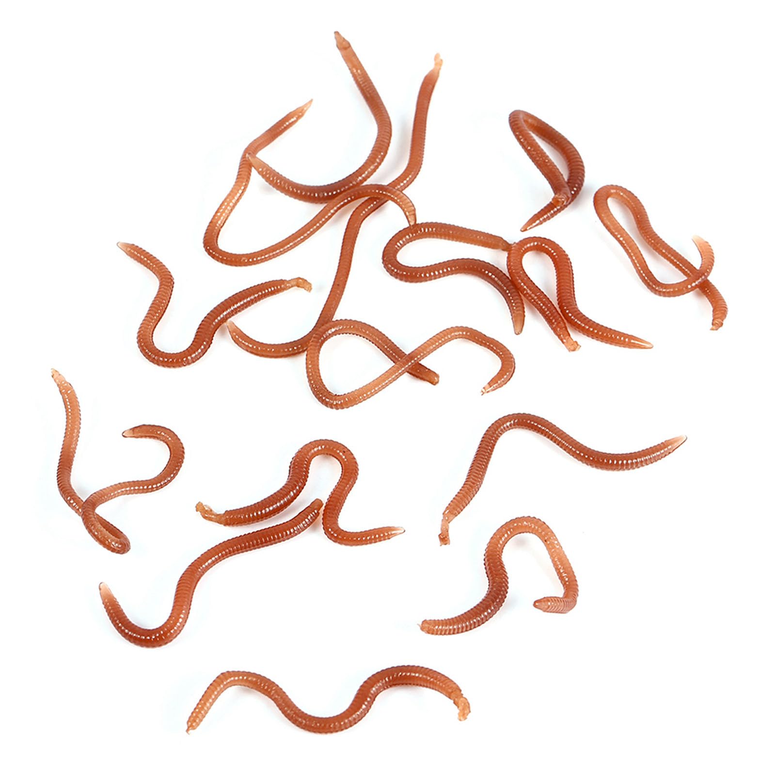 Bass Worms, Worms Miękkie Stickbaity 10 Cm Realistyczna Przynęta o Rybim Zapachu Przynęta na Dżdżownice Z Pudełkiem Robaki Drop Shot dla Wędkarzy na Wszystkich Poziomach