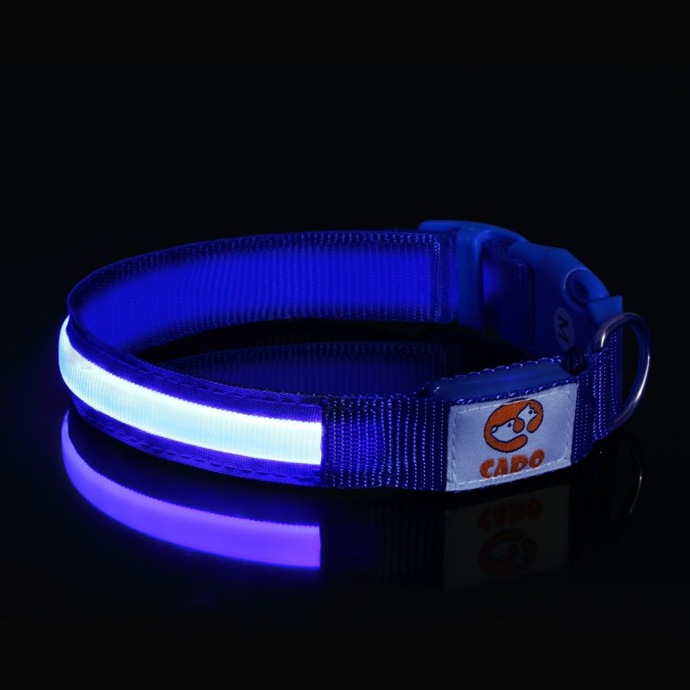 USB Rechargeable LED Dog Collar Cado Pet Night Safety Retractable Collar & Strap 3 Size and 3 Colors