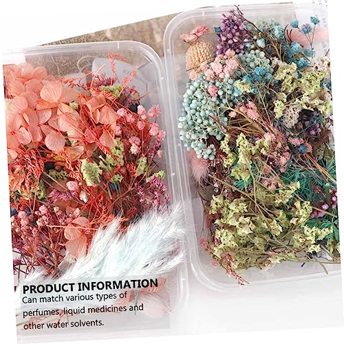 Zerodeko 2 Caixas Flores secas de aromaterapia flores secas prensadas fabricação de sabão de flores