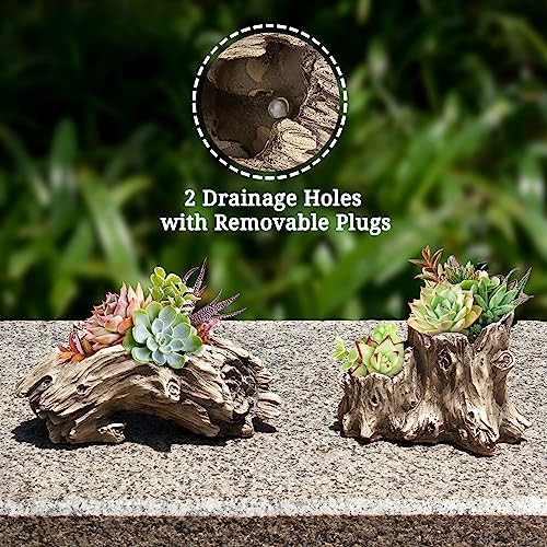 Aclema Succulent Planters Driftwood Planter Succulent Pots Small Plant Flower Cactus Pots Tree Stumb Wood Planter With Drainage Hole #TOP6
