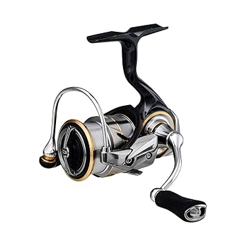 DAIWA - 【maaco】新品　20ルビアス fc lt 2000s DAIWA ダイワ 20ルビアスFC LT2000S スピニングリール スプール