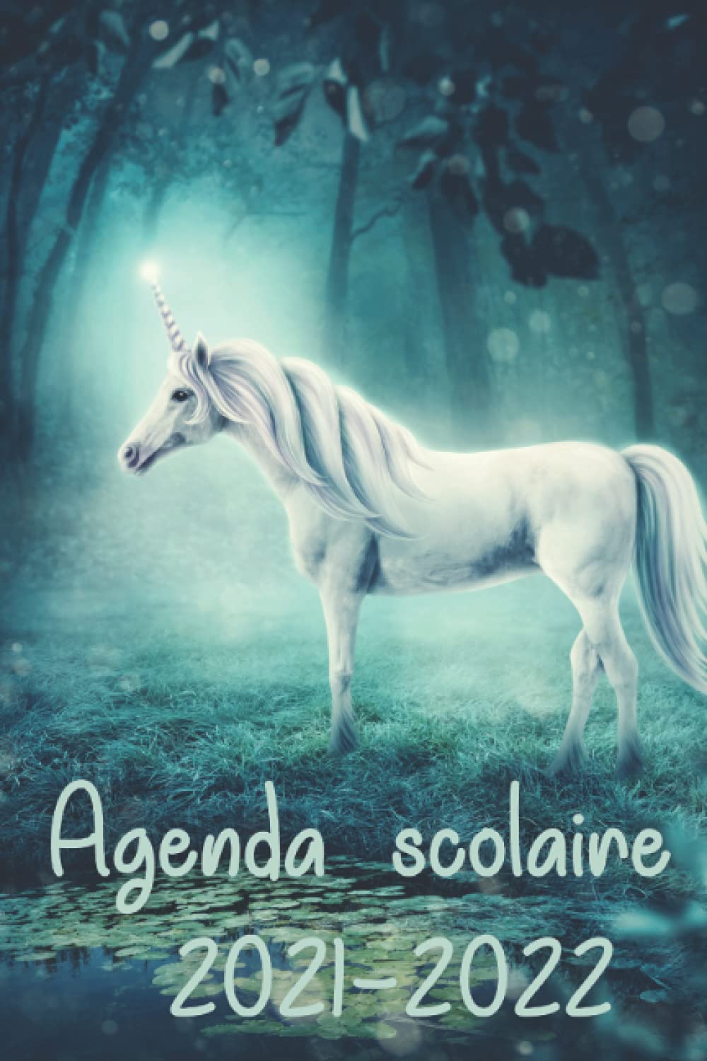 Agenda scolaire 2021-2022: De Septembre 2021 à Juillet 2022 | Étudiant(e) Pour Collège Lycée École Primaire | pour une année réussie