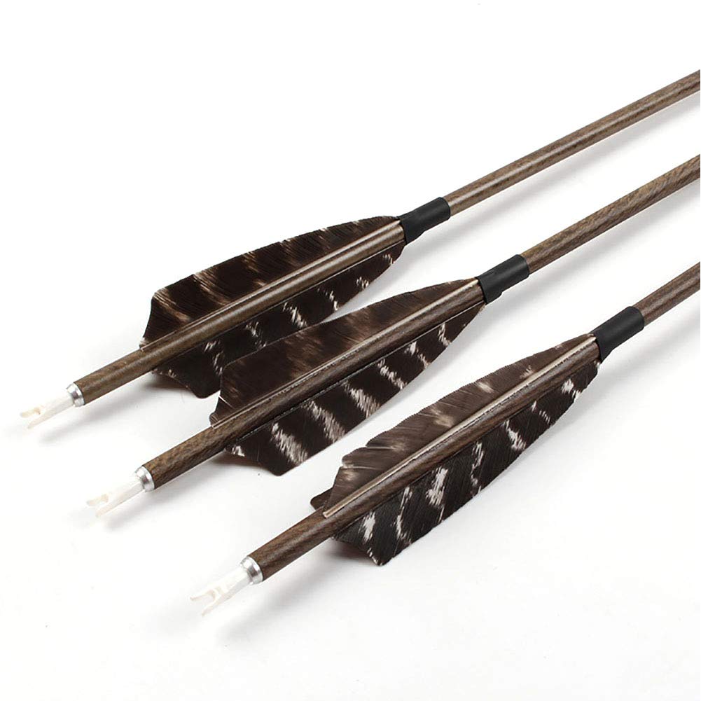 12-Pack Carbon Hunting Arrows - Spine 600 With Turkey Feathers For Traditional & Compound Bows