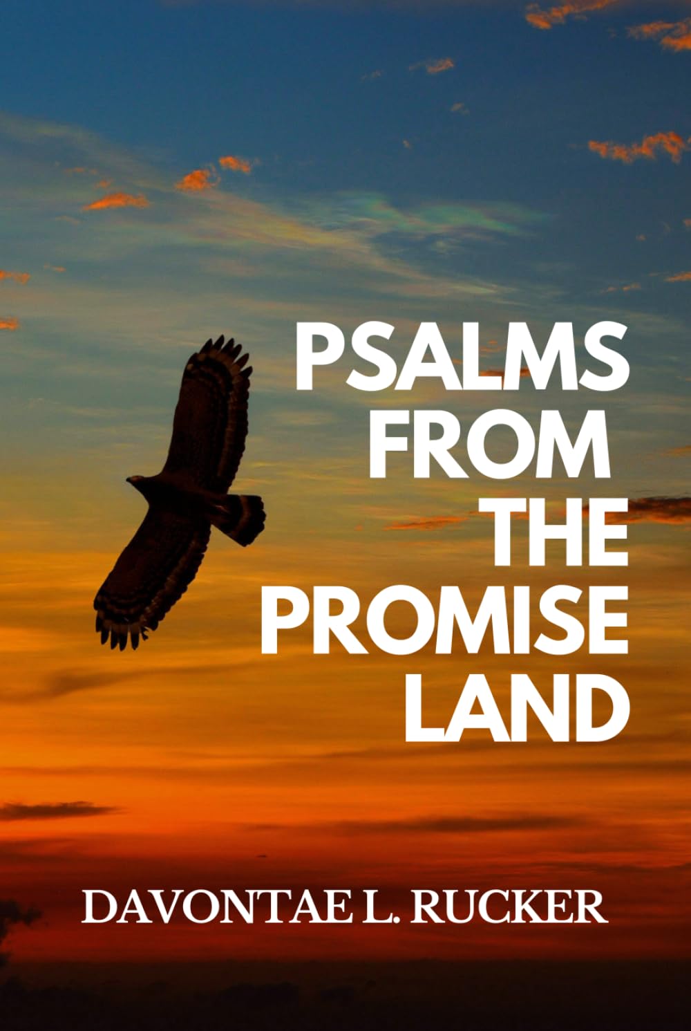 Psalms From the Promised Land