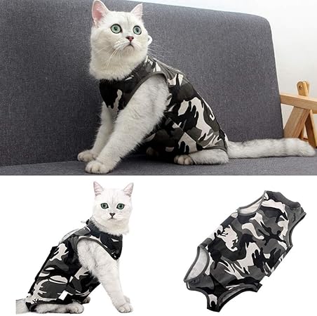 cat protective suit