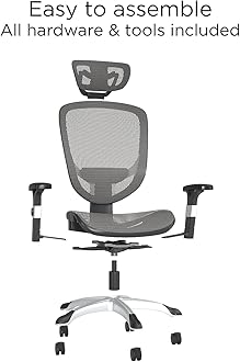 STAPLES Hyken Ergonomic Swivel Task Chair, Adjustable with Breathable Mesh & Lumbar Support, Perfect for Home & Office, Charcoal Gray