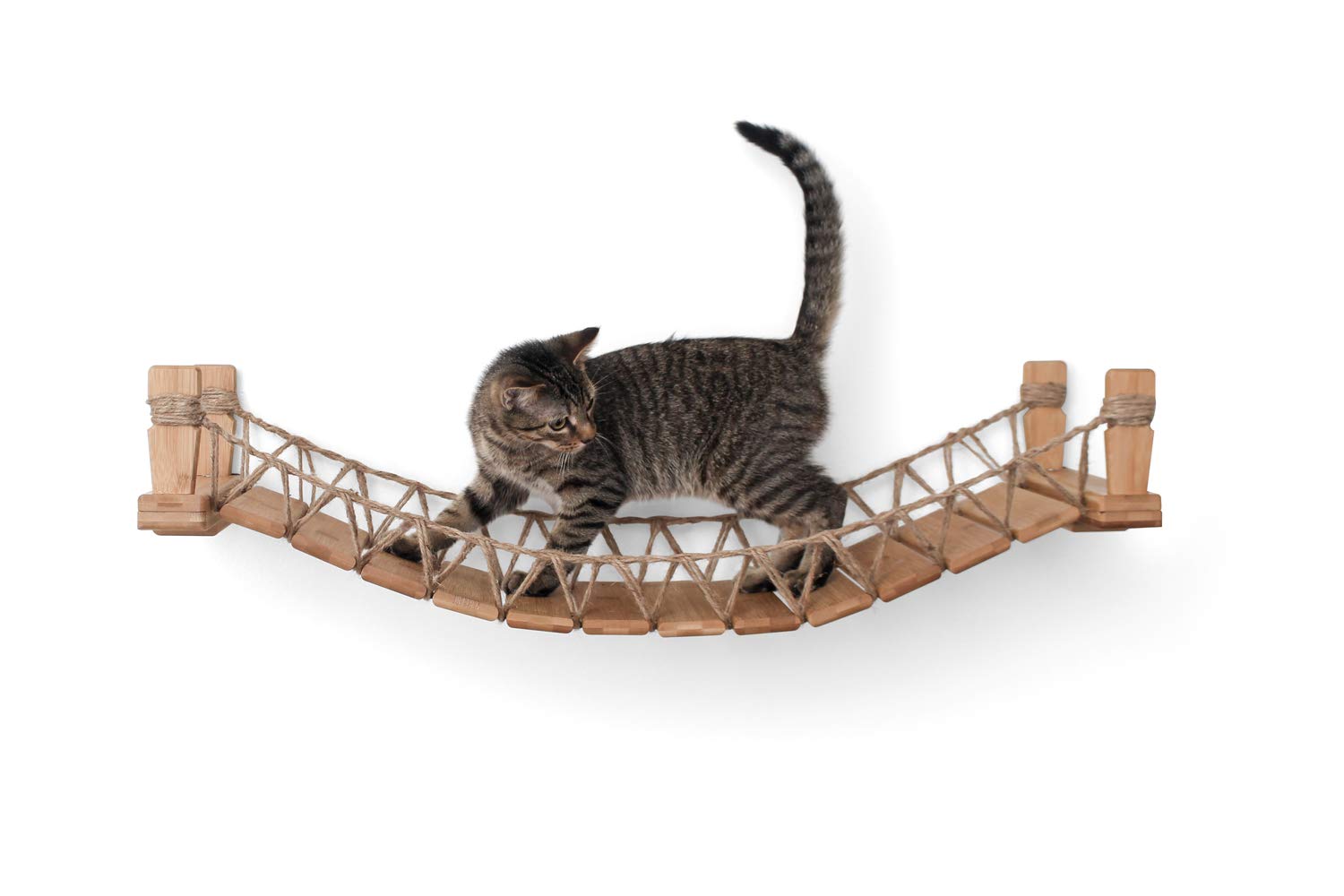 CatastrophiCreations Cat Bridge WallMounted Play and Lounge Toy Cat