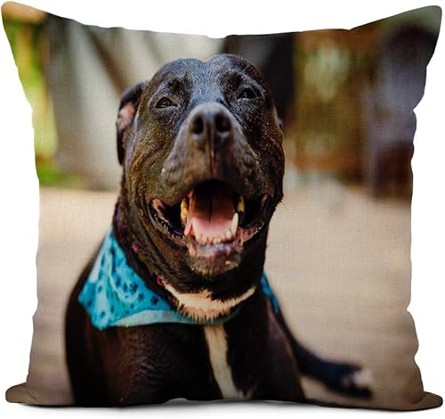 Funda de almohada de lino con diseño de toro marrón sonriente, pitbull americano, con pañuelo azul, decoración del hogar, 16 x 16 pulgadas, funda de