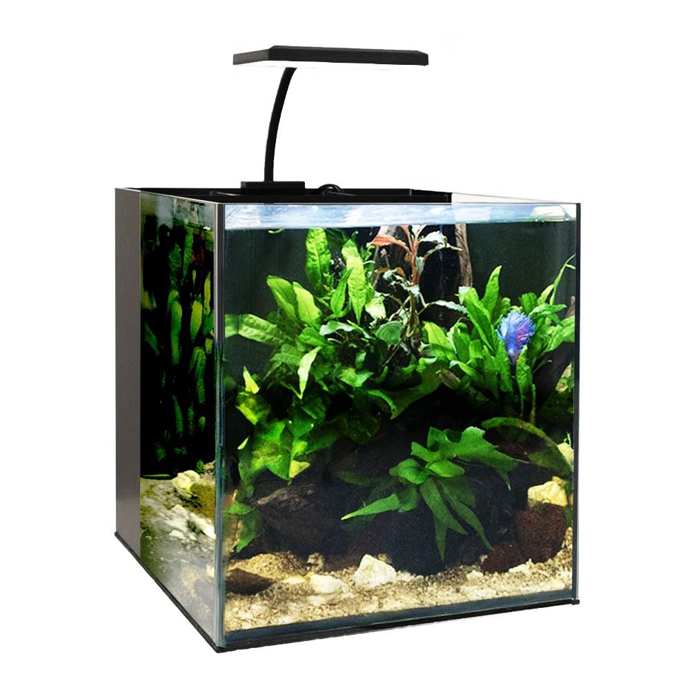 Swell Aquarium Fish Tank Aquaventure Plus 25cm (Black - Without Heater)