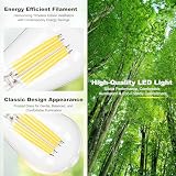 DiCUNO Żarówka LED Edison E27 6W, światło naturalne białe 4000K, odpowiednik 80W, 1120 lm, nieściemnialna szklana żarówka filamentowa ST58, 230V AC, lampa vintage, zestaw 2 szt.
