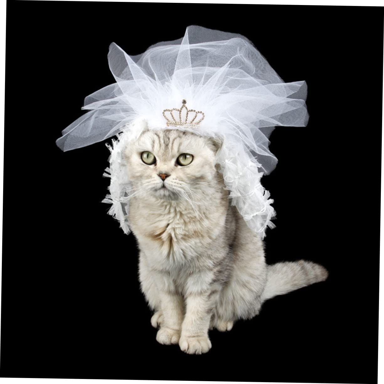 cat bridesmaid dress Wedding Dress for Cat