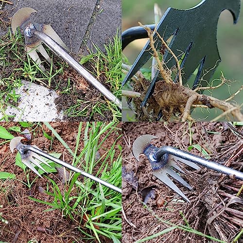 Ferramenta de extrator de ervas daninhas, ferramenta de remoção de ervas daninhas de jardim durável