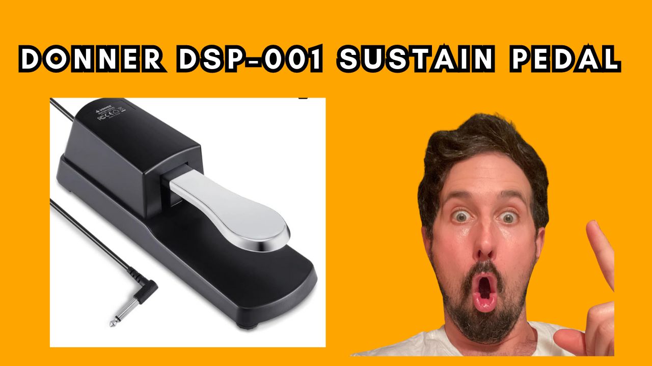 Watch Travel Sustain Donner DSP-001 Sustain Pedal Review! on Amazon Live