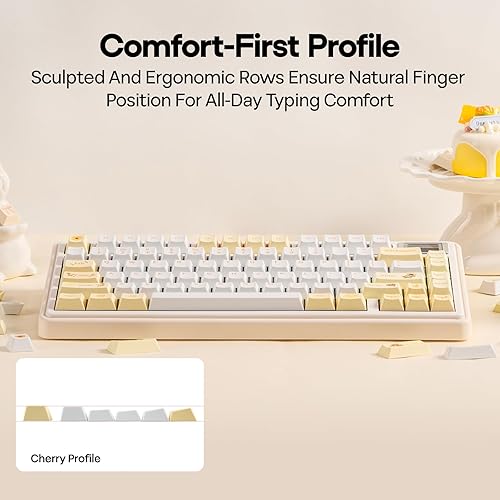 Miniatura 7 de EPOMAKER Teclas PBT de girasol, 133 teclas, perfil de cereza, sublimación de tinte, diseño ISOANSI, 60%75%96%tamaño completo, juego de teclas de