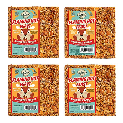 Mr. Bird 4-Pack Flaming Hot Feast Small Wild Bird Seed Cake 4 oz