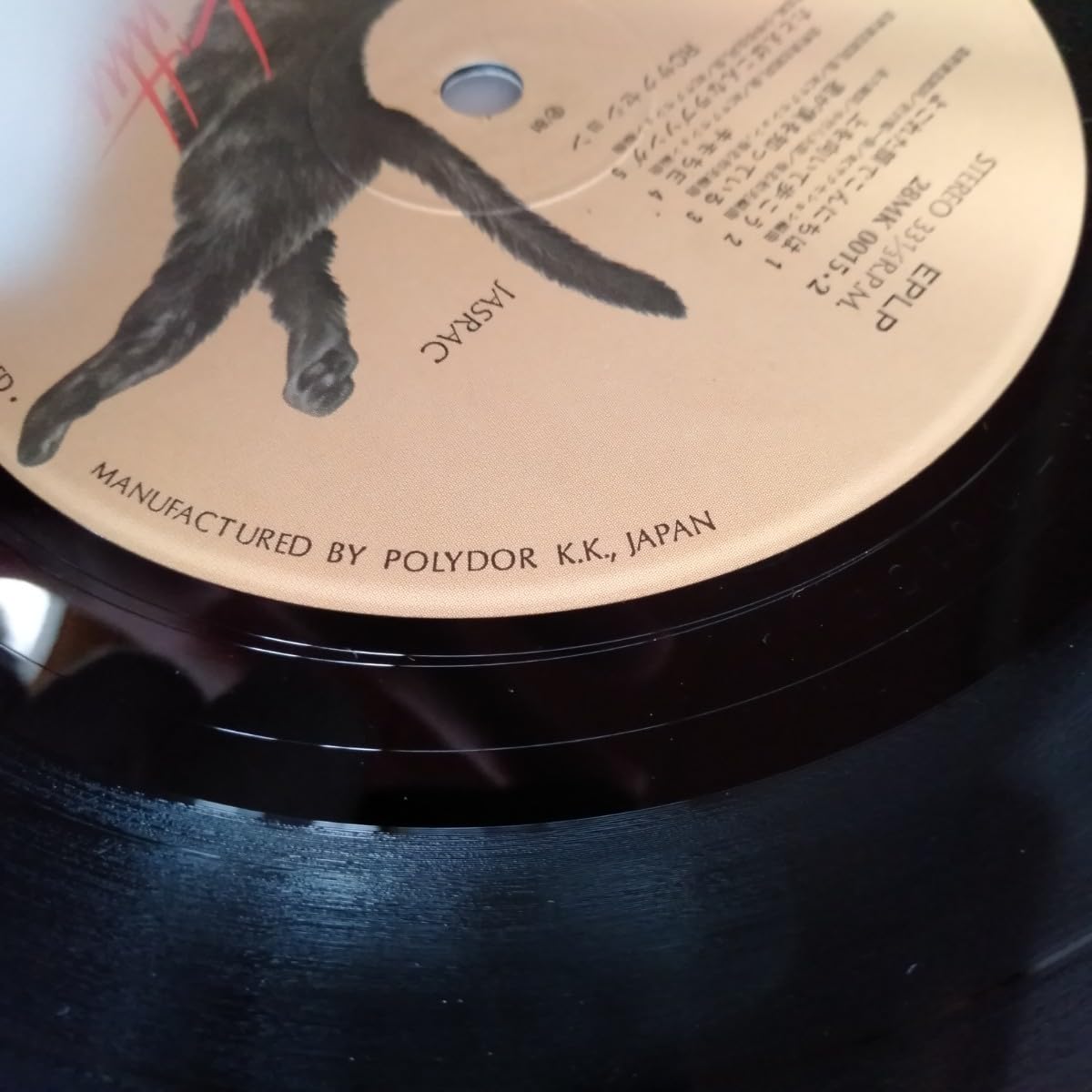 RCサクセション(忌野清志郎 )カバーズ含レコード24枚【美品帯付】パンティ付 Amazon.co.jp: RCサクセション 楽しい夕に レコード 忌野清志郎