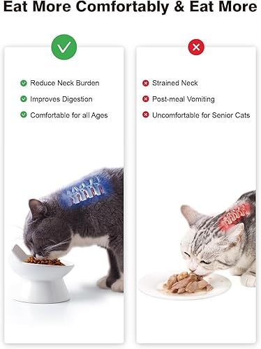 Miniatura 5 de Cuenco de comida para gatos, cuenco elevado de cerámica de 5 onzas, comedero elevado para mascotas inclinado en 15°, platos antivómitos y bigotes