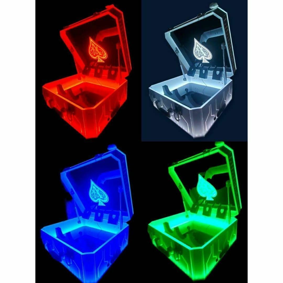 Amazon.co.jp: アルマンド ディスプレイ LED アタッシュ ケース