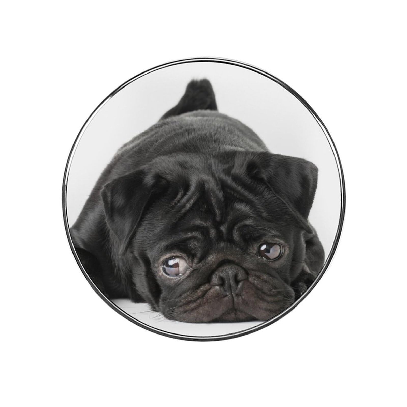 Pugs Refrigerator Magnet Decorative Locker Magnet For Kitchen And Office Home Décor