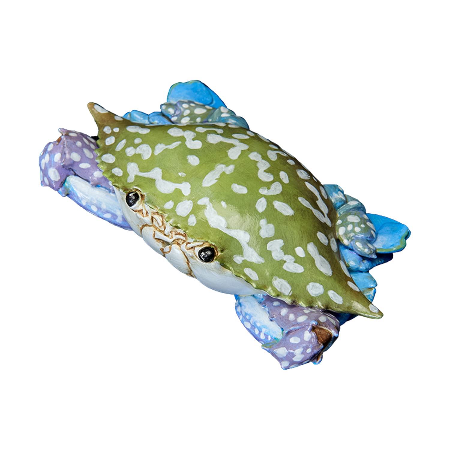 Amazon | 動物惑星 ガチャガチャ ブラインド ボックス カニ 甲殻類 全8