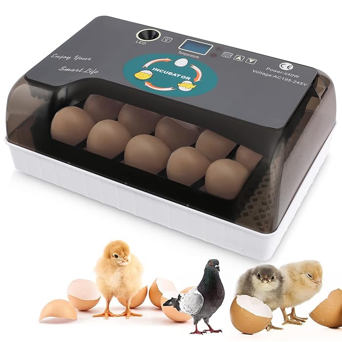 Buy Egg Incubator, 1224 Eggs Fully Automatic Poultry Hatcher Machine