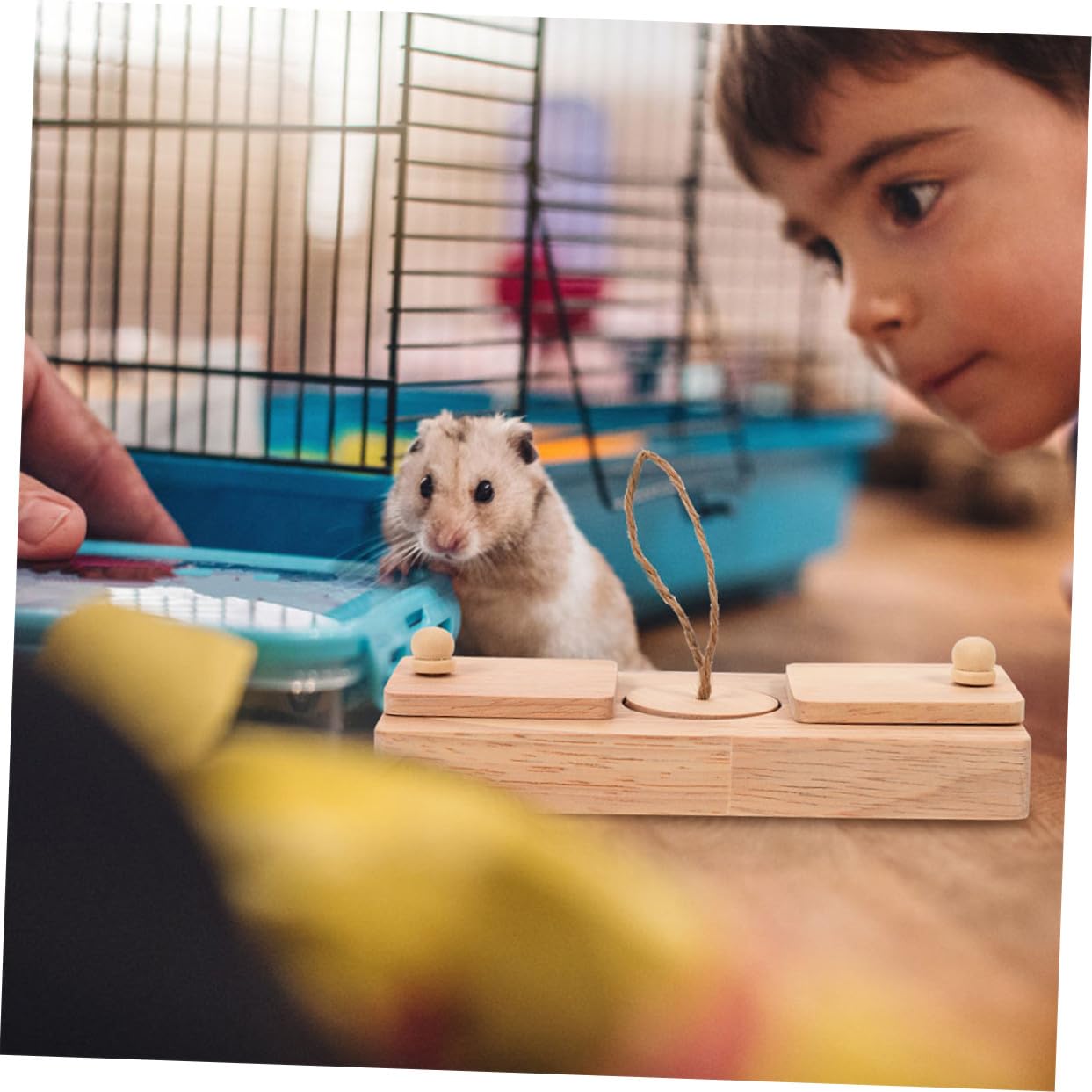VICASKY Hamster Leckerli Spielzeug mit Suchfunktion im 2 Stück