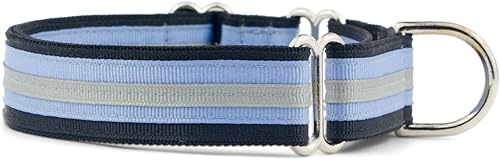 If It Barks Collar Martingala de 1 pulgada para perros, nailon ajustable, fabricado en Estados Unidos, mediano, hielo negro