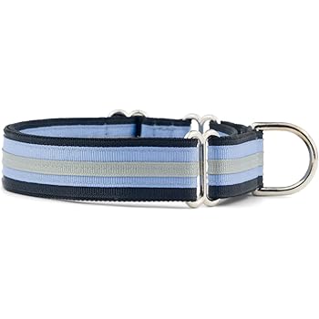if it barks martingale collar