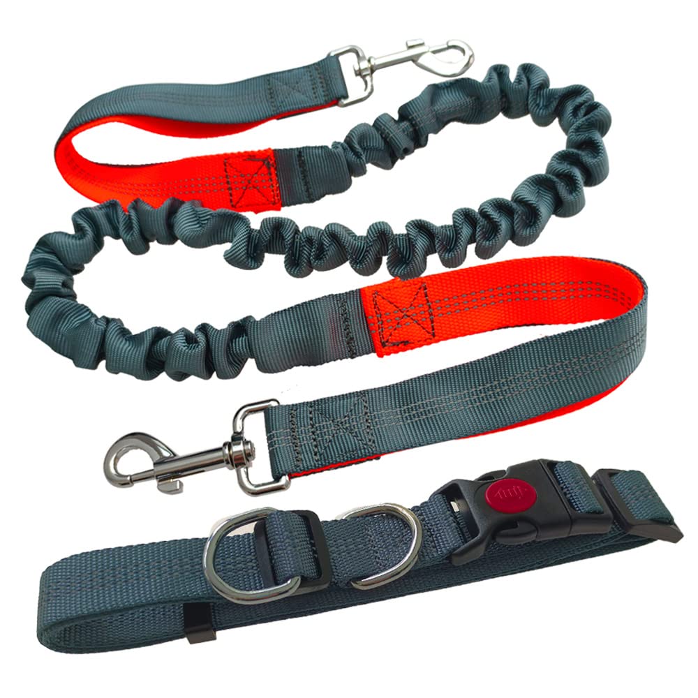 Guinzaglio A Mani Libere Per Cane | Cintura Regolabile Con Elastic Bungee | Riflettente Per Corsa E Camminata