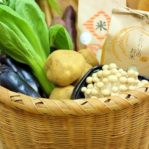 [3ヶ月定期便]野菜王国なめがたの旬野菜便[米 5kg入り](CU-136)